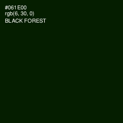 #061E00 - Black Forest Color Image